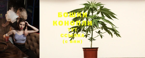 ПСИЛОЦИБИНОВЫЕ ГРИБЫ Лиски