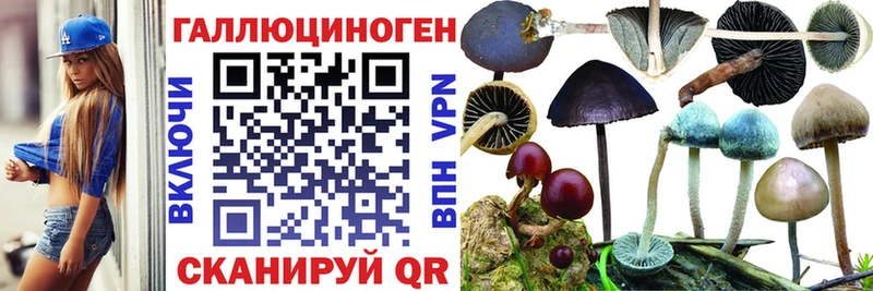 Псилоцибиновые грибы Magic Shrooms  Мосальск 